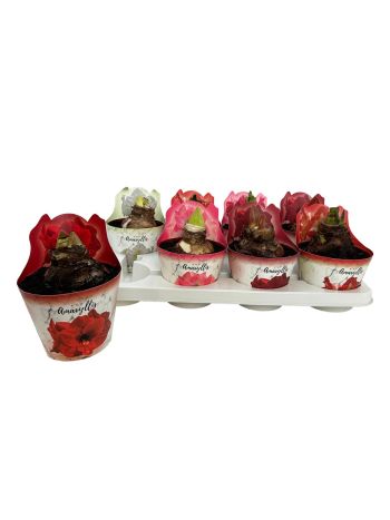 HIPPEAS GEM PAPER SLEEVES