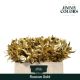 RUSCUS OV KLB H% - GOLD