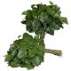 ZO SALAL TIPS