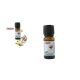 Illóolaj Kókuszos Vanília 10ml (25/#)