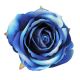 Bársony rózsafej- 8cm - Kék 12db/csomag