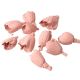 Shola tulipán 6cm 10db/csom - Pasztell rózsaszín