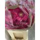 ZZ HU GE *10 PINK/LILA