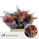 ASP OV KLB H% - MIDDEL HERFST MIX