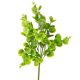 Pénzlevelű pilea műnövény- 5 ágú- 40cm magas - Világoszöld