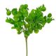 Pénzlevelű pilea műnövény- 5 ágú- 40cm magas - Sötétzöld