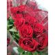 R GR   RED RIBBON - S/A
