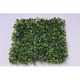 Selyemvirág Buxus kocka  25x25cm zöld DD38457