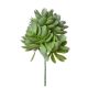 Selyemvirág Echeveria betűzős műanyag 19 cm zöld
