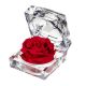ZZ A TARTÓSRÓZSA JEWEL RED 02