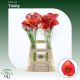 ZANT CAPT TRINITY 70CM