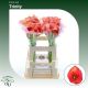 ZANT CAPT TRINITY 60CM