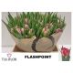 TU DU FLASH POINT