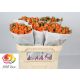 R TR PICANTO 70CM