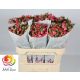 R TR FIREWORKS 70CM