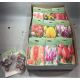 HAGYMA TULIPAN *40