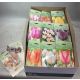 HAGYMA TULIPAN *40