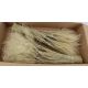 STYPHA - NATUREL 60CM