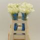 ZANT  CAPT VENTURA 60CM