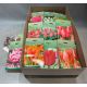 HAGYMA TULIPAN *40
